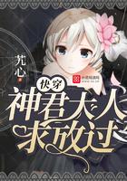 领商财税2023