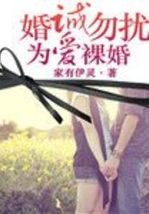 初级会计师必考