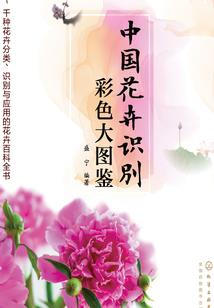 考初级会计在什么时候