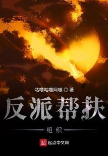 东平财税公司