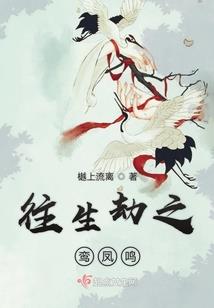 东奥贡献者证书